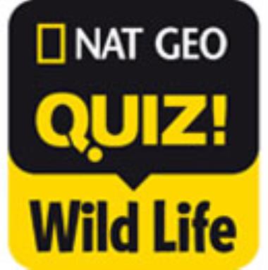 NatGeo Quiz!Wild Life  